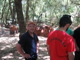 arbuda-270609 (101).html